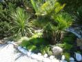 exotic garden