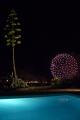 nocturne avec feu d'artifice 15 août