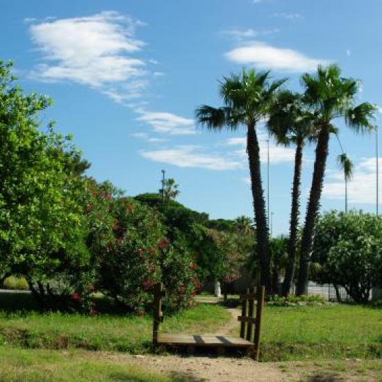 le petit pont du jardin botanique