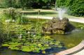 jardin botanique "bassin aux nénuphars"