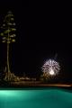 nocturne avec feu d'artifice 14 juillet