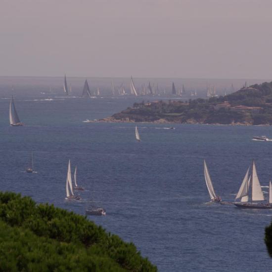 voiles de St Tropez