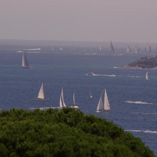 voiles de St Tropez