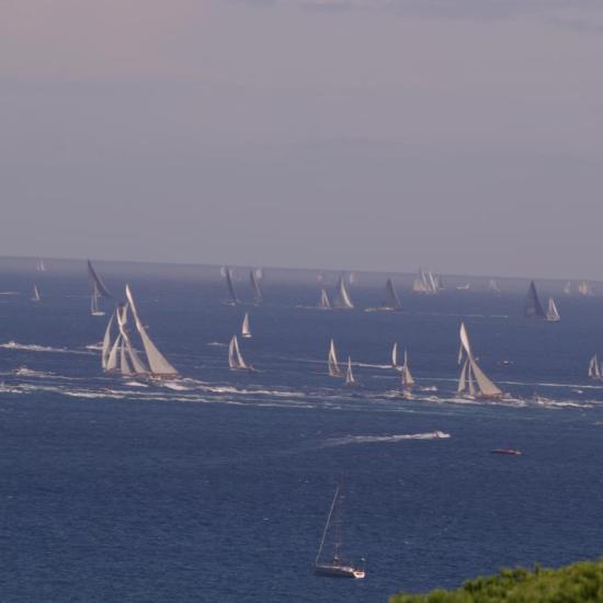 voiles de St Tropez