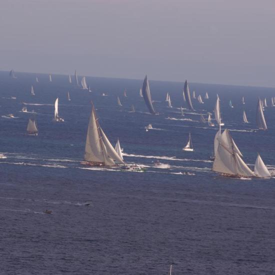 les voiles de St Tropez