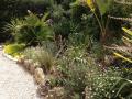 jardin exotique -2-