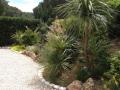 jardin exotique -3-